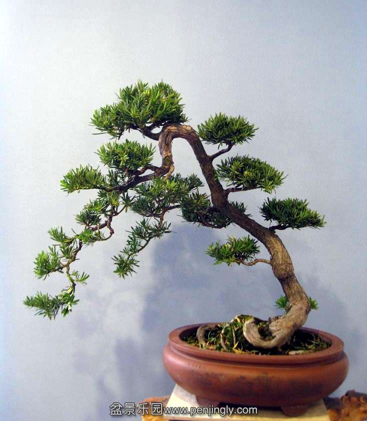 Ƭ 16454.jpg