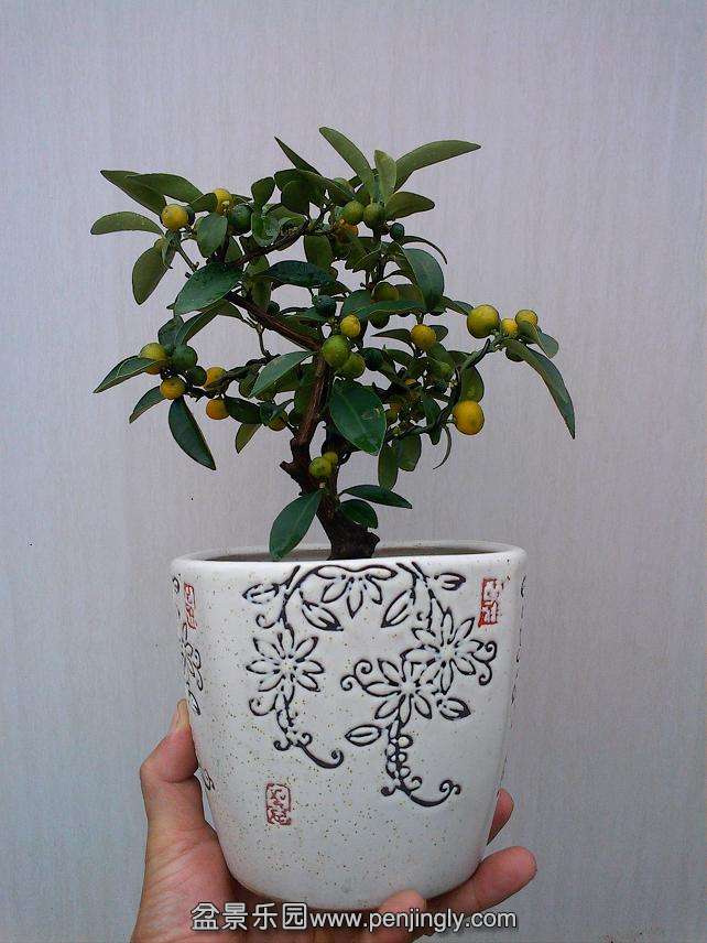 IMG1110144900.jpg