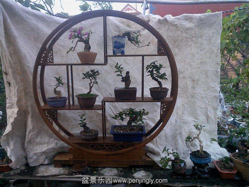 IMG1109163000.jpg