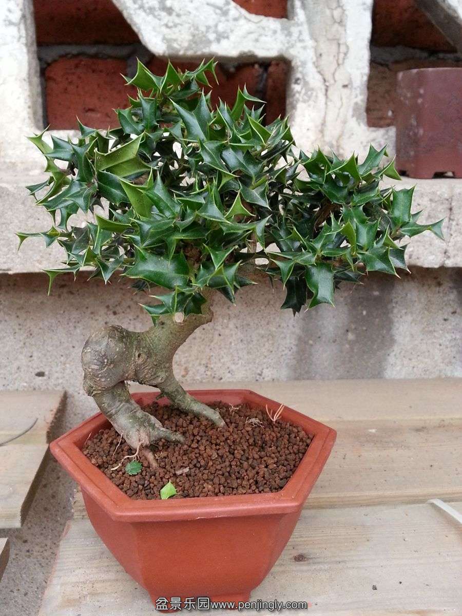 20131111_073324.jpg
