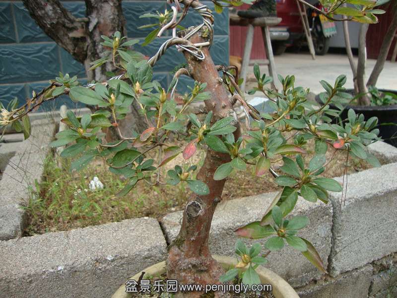 DSC01670_.jpg