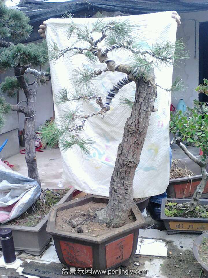 QQͼƬ20131113174205.jpg