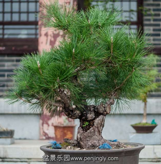 20131103-DSC_0043.jpg