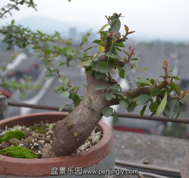 QQͼƬ20131114171048.jpg