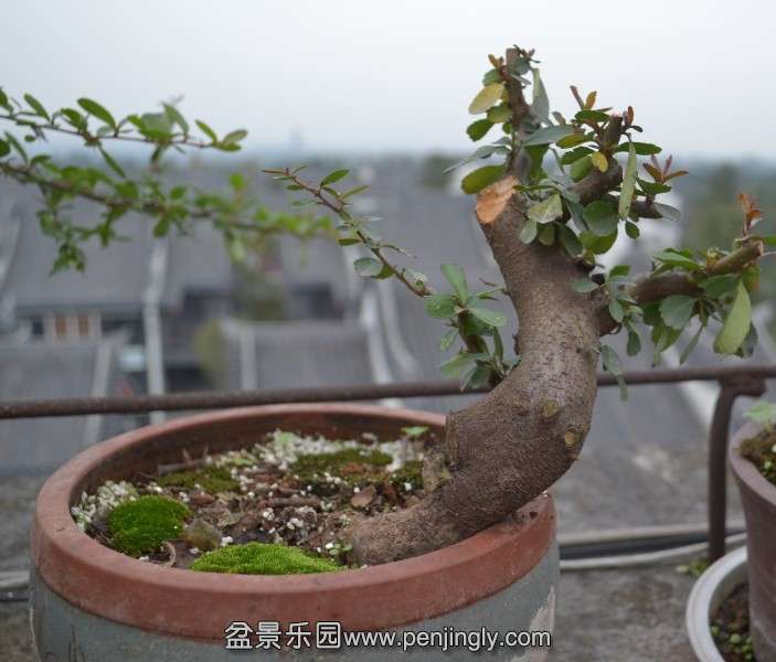 QQͼƬ20131114171104.jpg