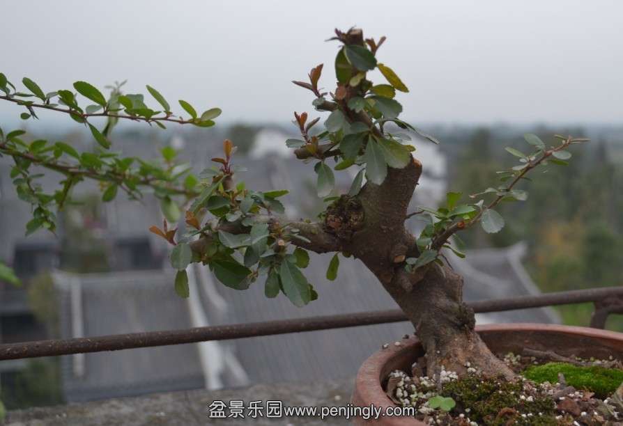 QQͼƬ20131114171135.jpg