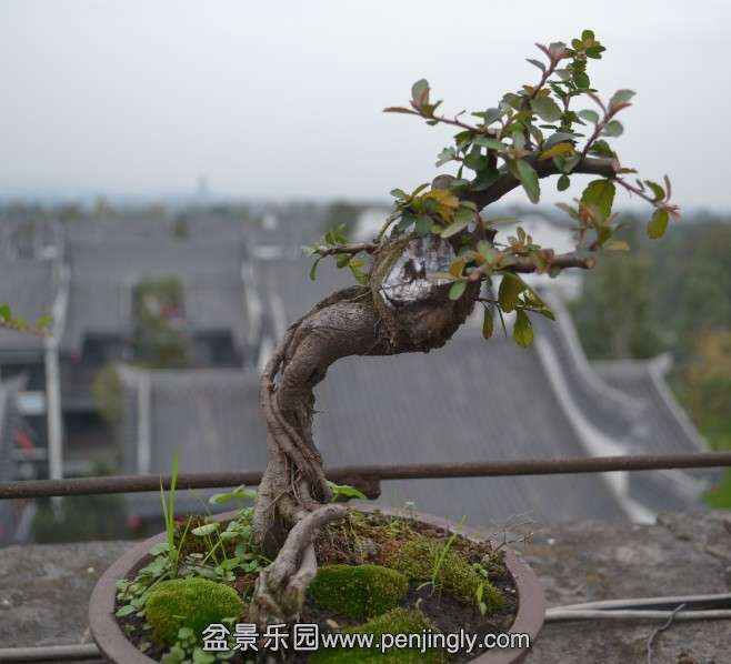 QQͼƬ20131114171215.jpg