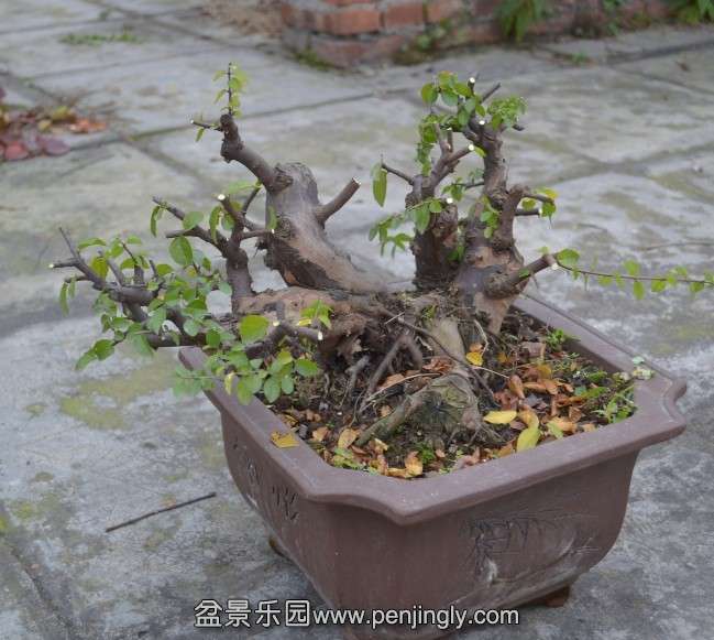 QQͼƬ20131114173520.jpg