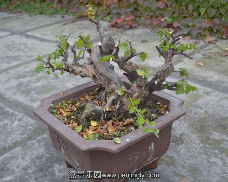 QQͼƬ20131114173542.jpg