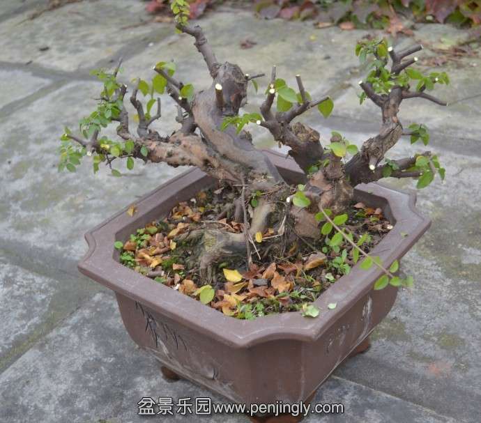 QQͼƬ20131114173631.jpg