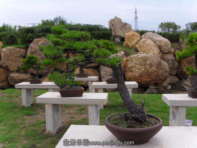 SDC12912.JPG