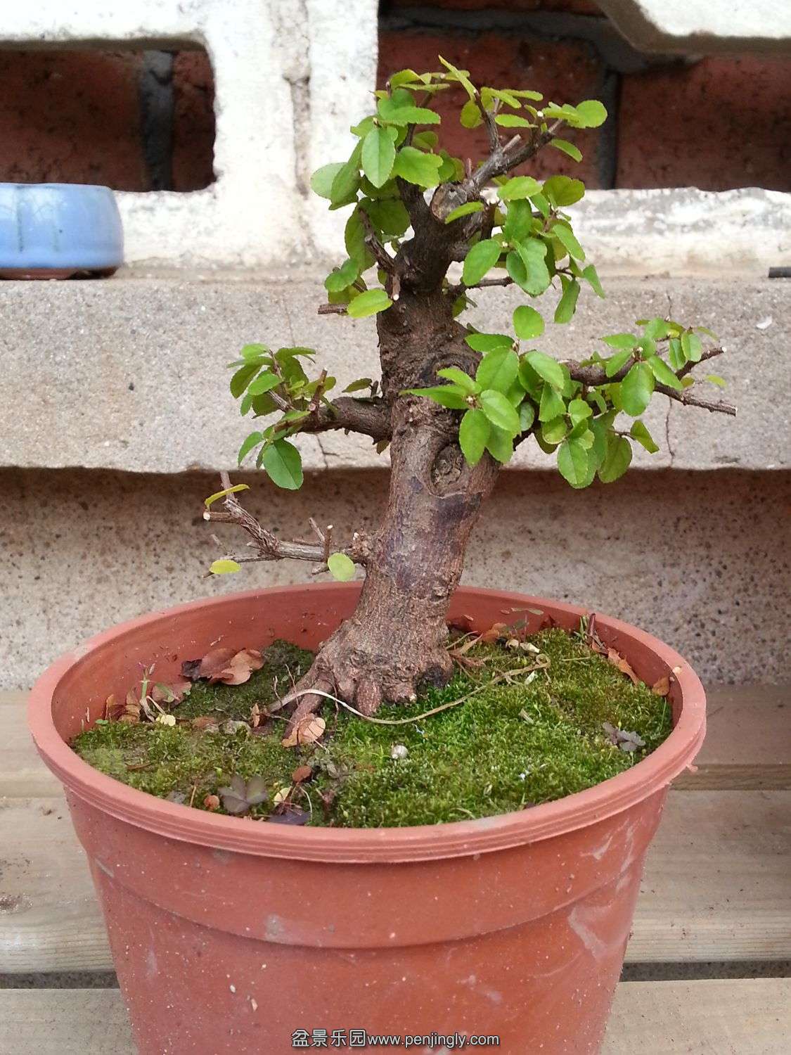 20131115_073832.jpg