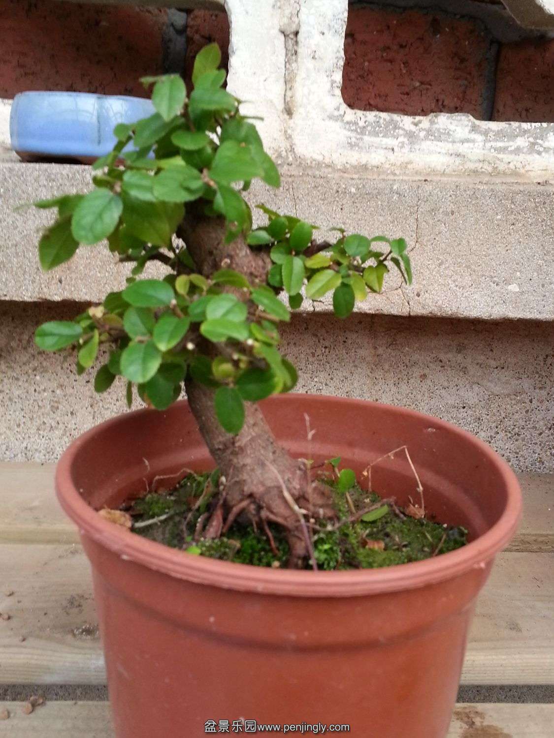 20131115_073842.jpg