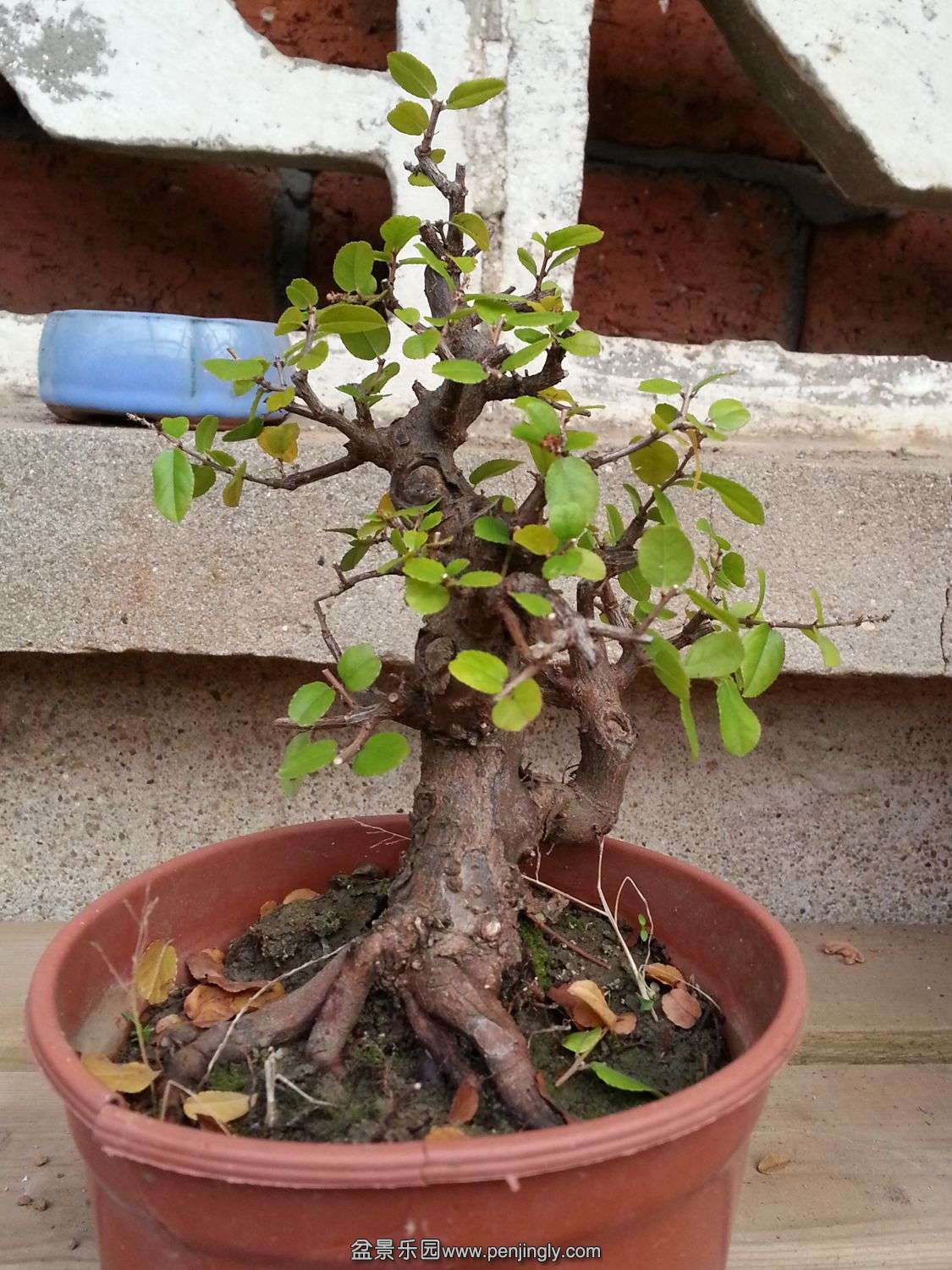 20131115_073853.jpg