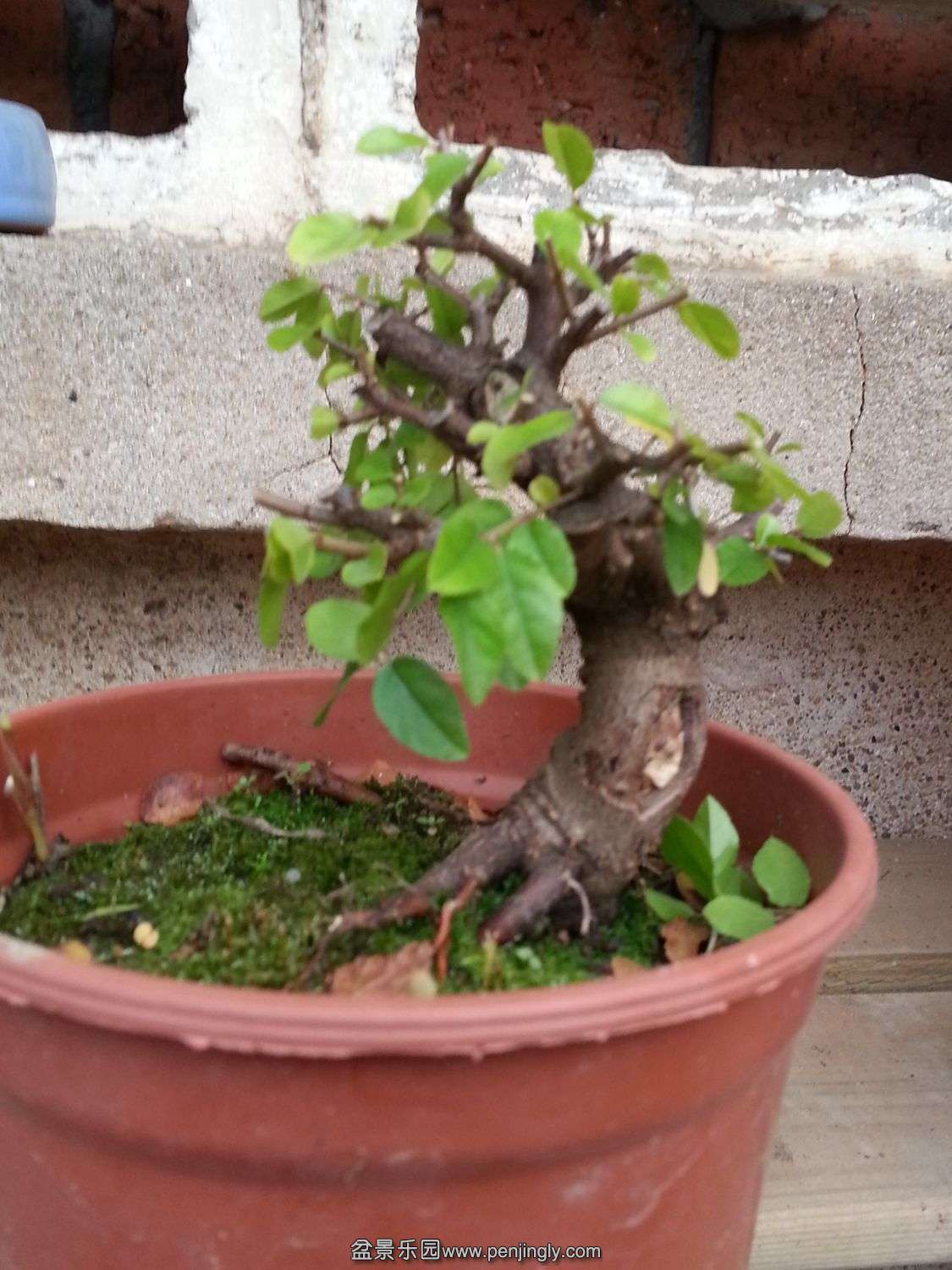20131115_073903.jpg