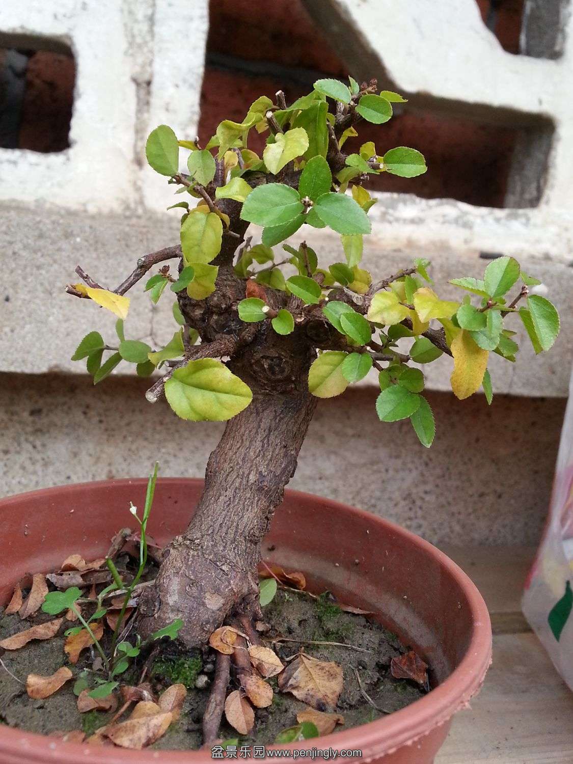 20131115_073921.jpg