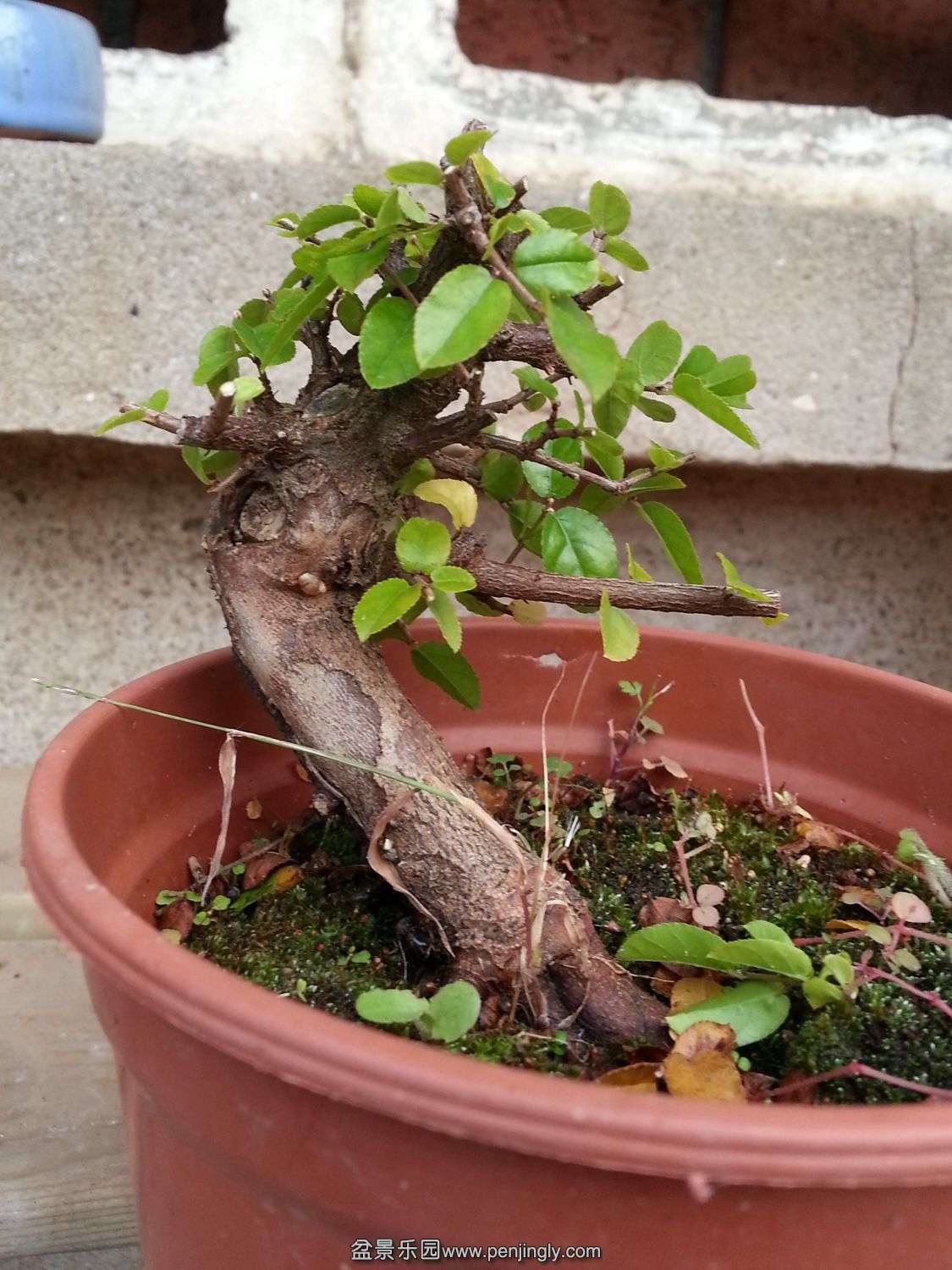 20131115_073934.jpg