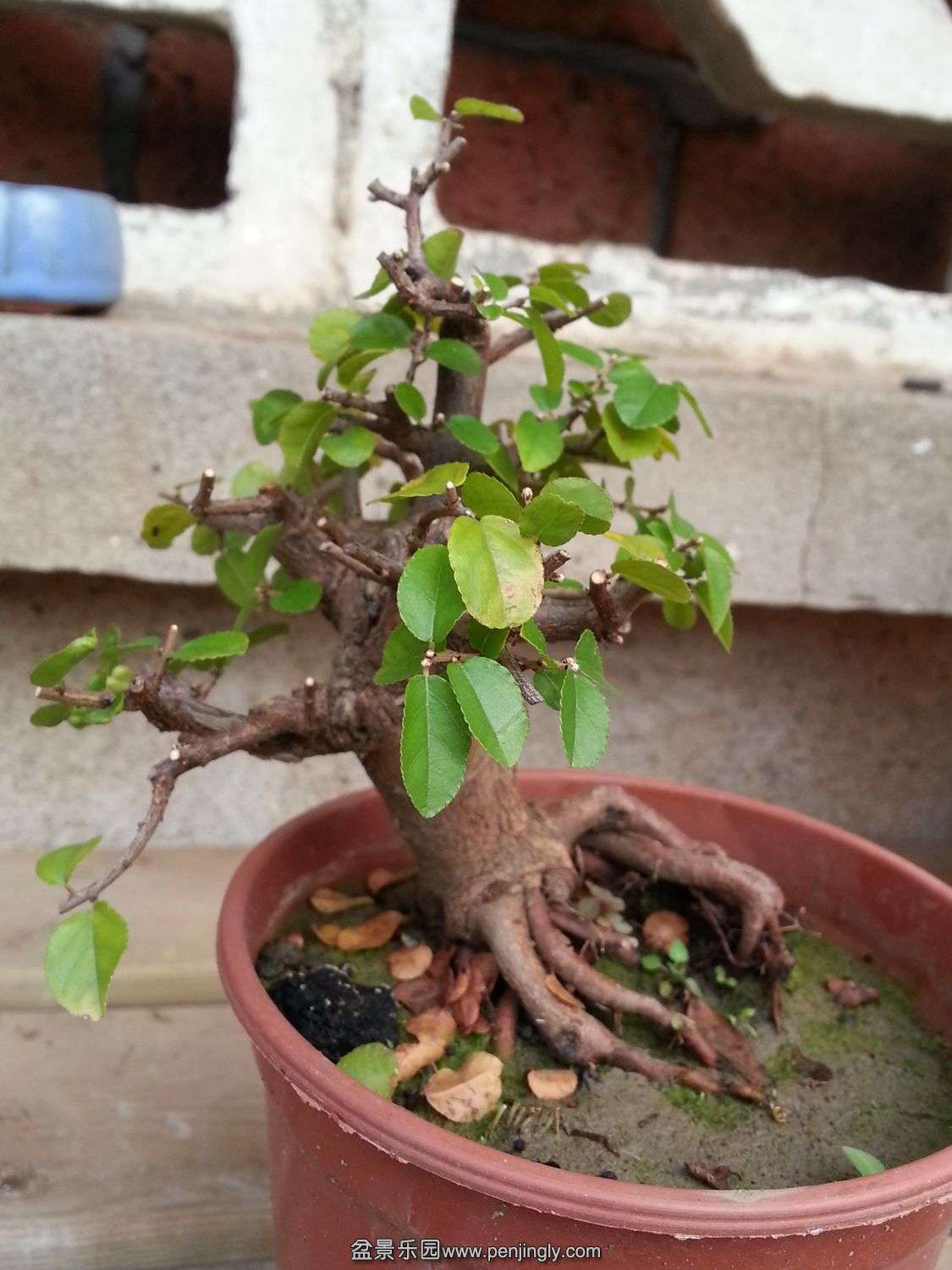 20131115_073956.jpg