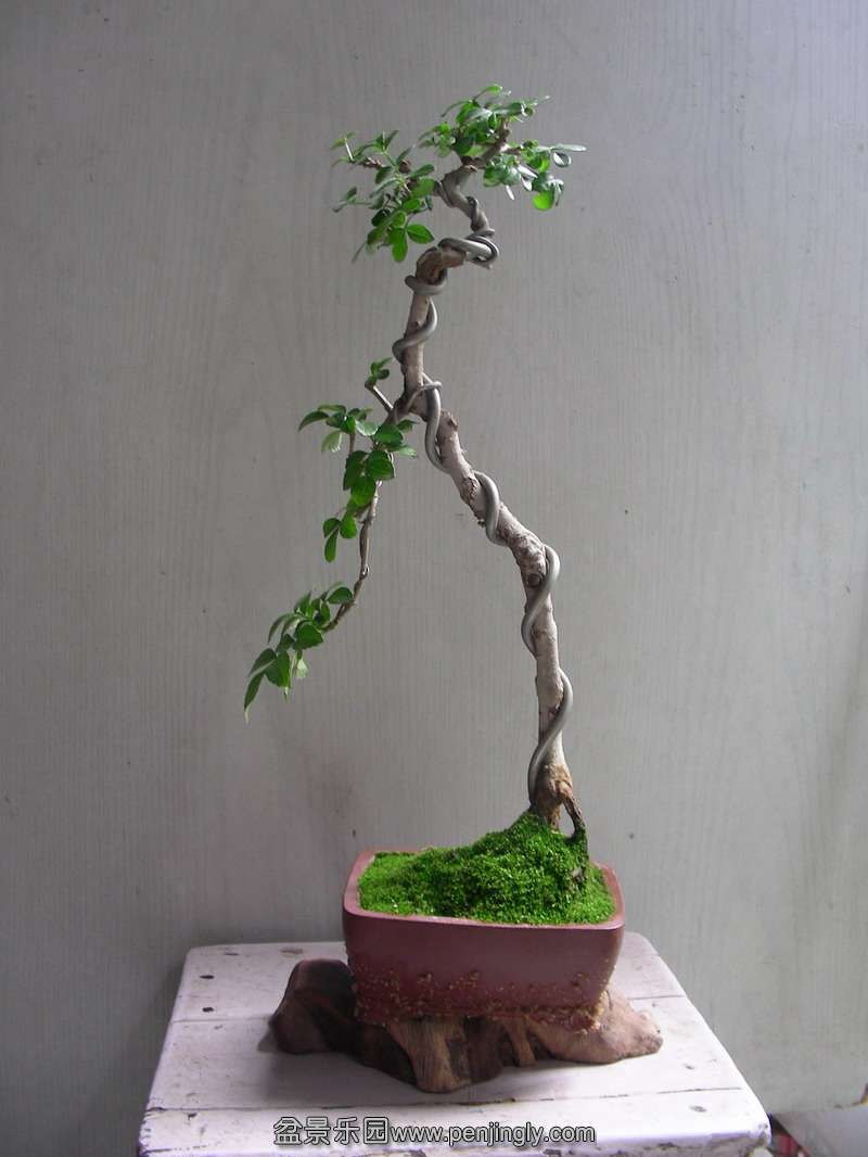 DSCN3558.JPG