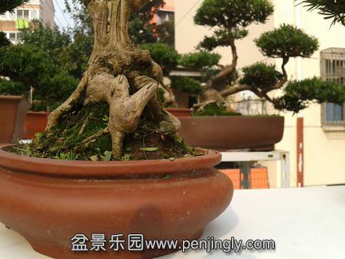 2013-11-15 13.22.31.jpg
