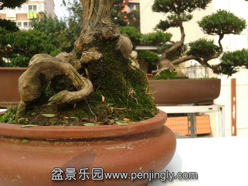 2013-11-15 13.22.53.jpg