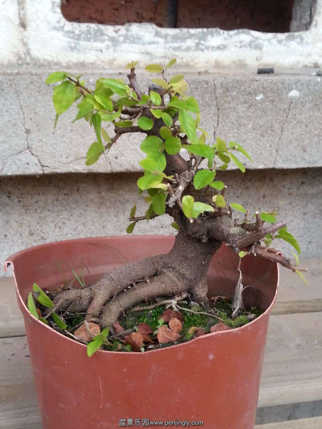 20131116_073524.jpg