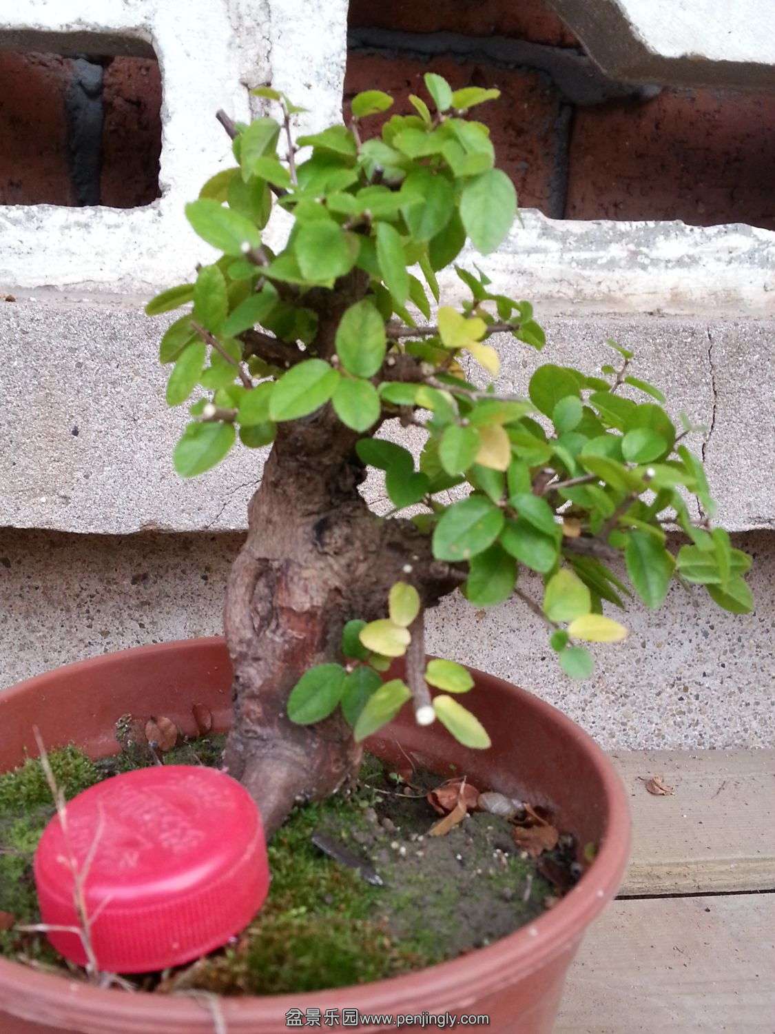 20131116_073542.jpg