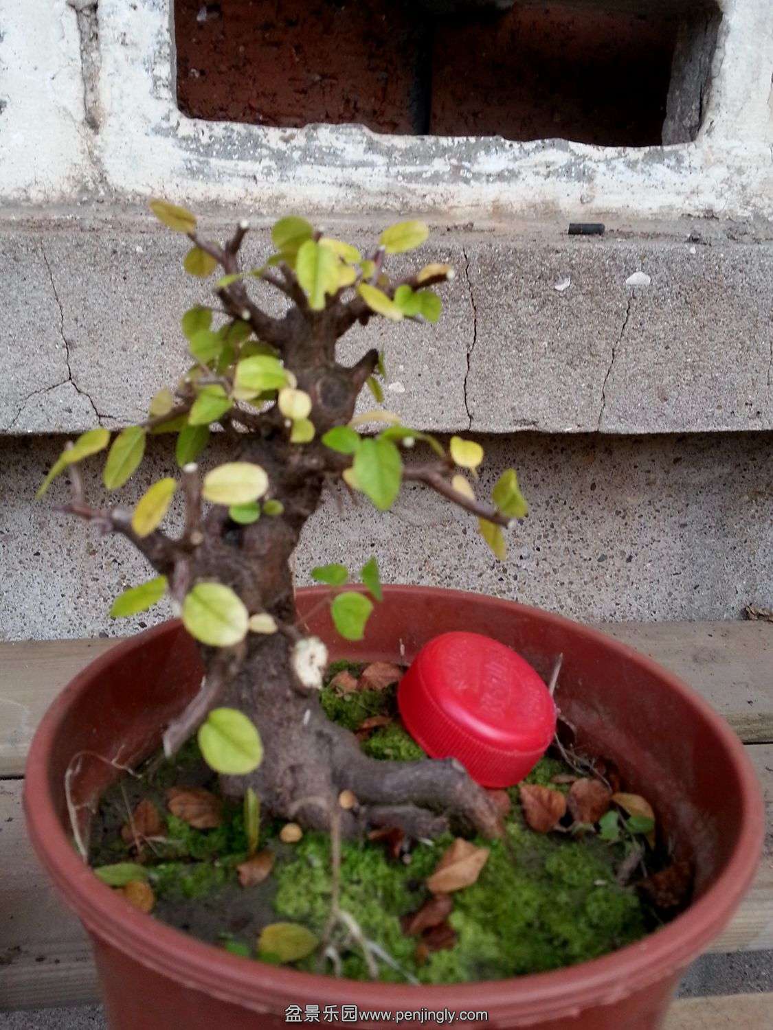 20131116_073640.jpg