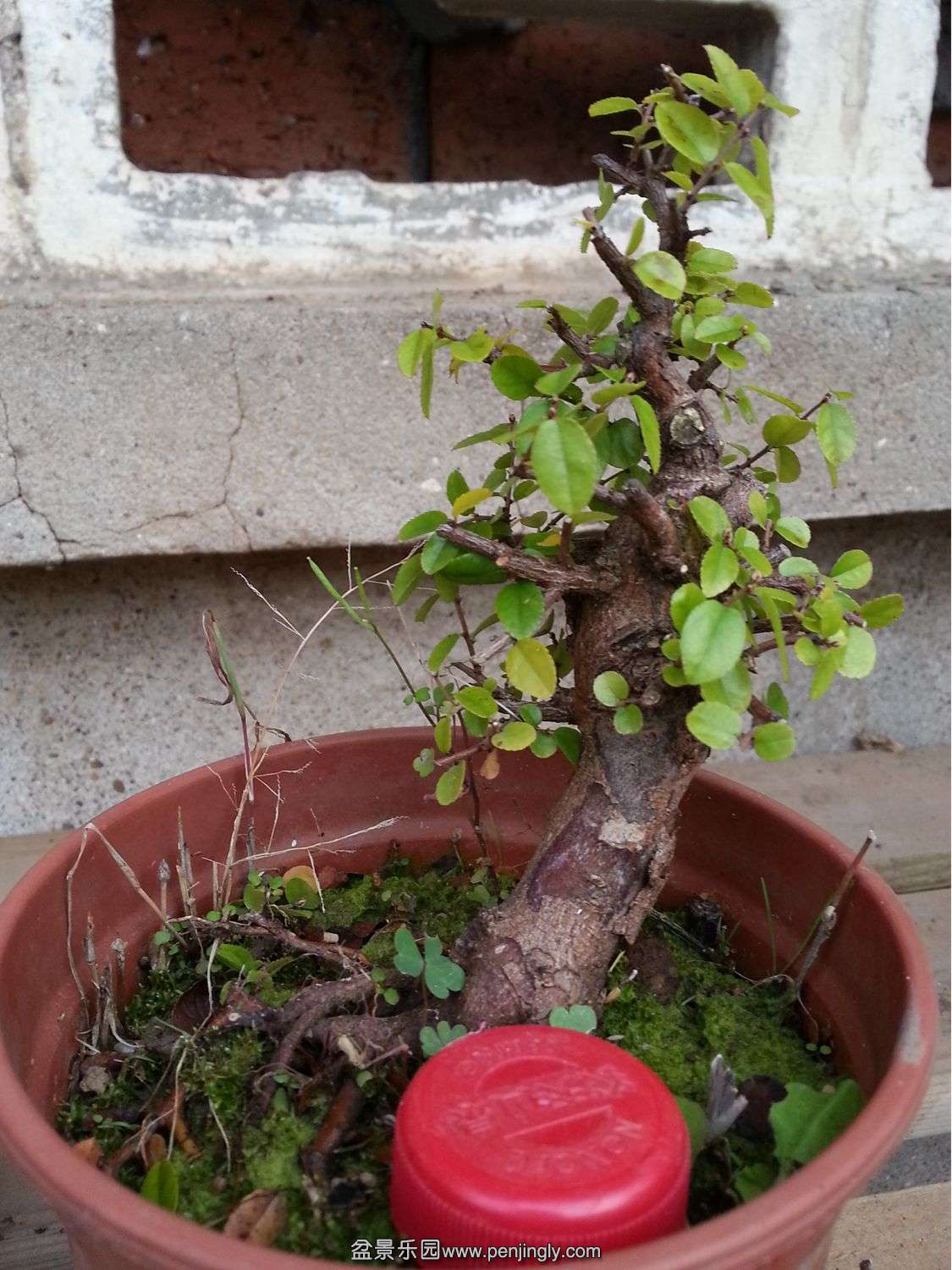 20131116_073656.jpg