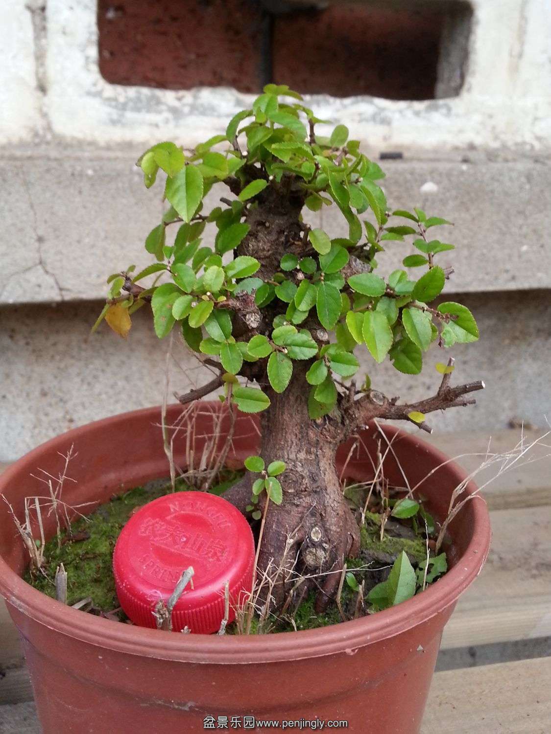 20131116_073717.jpg