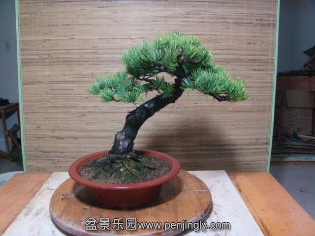 DSC04120.JPG