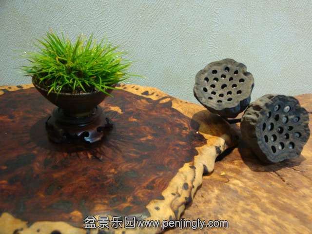 DSC05979.JPG