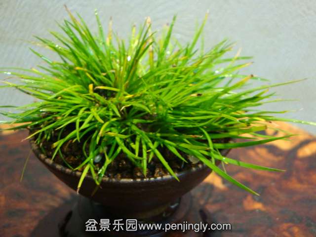 DSC05980.JPG