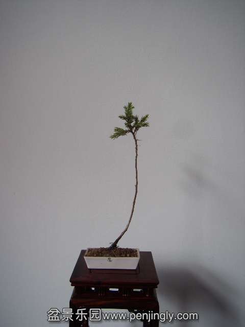 PB160098.JPG