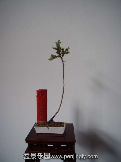 PB160100.JPG