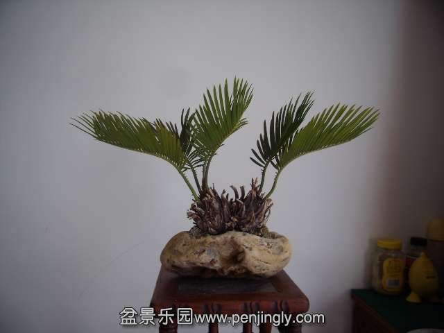 PB160163.JPG