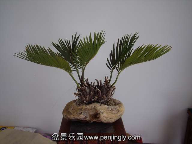 PB160166.JPG