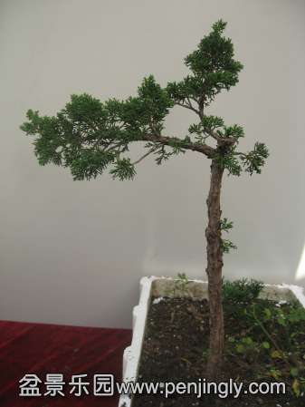 IMG_2974.jpg