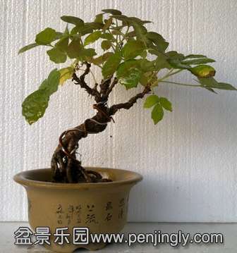 201311161531.jpg