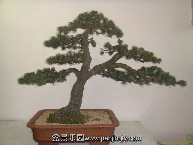 DSC03740.JPG