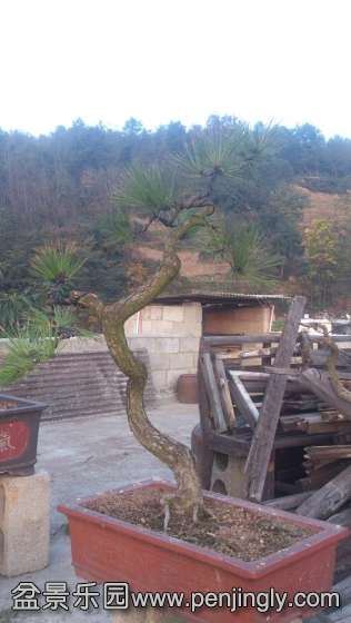 121312r7uwul4uxrxpcpw4_jpg_thumb.jpg