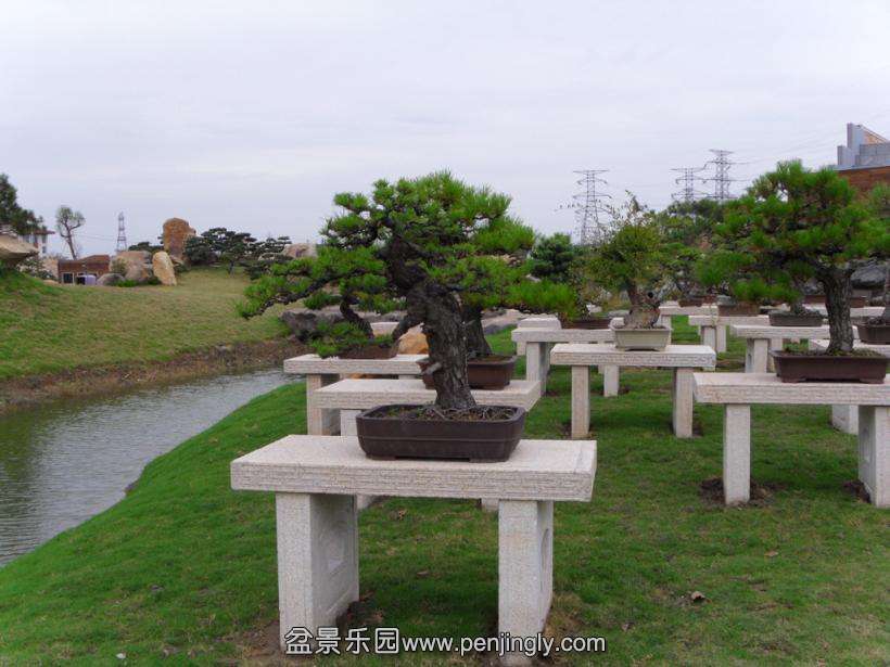 SDC12918.JPG