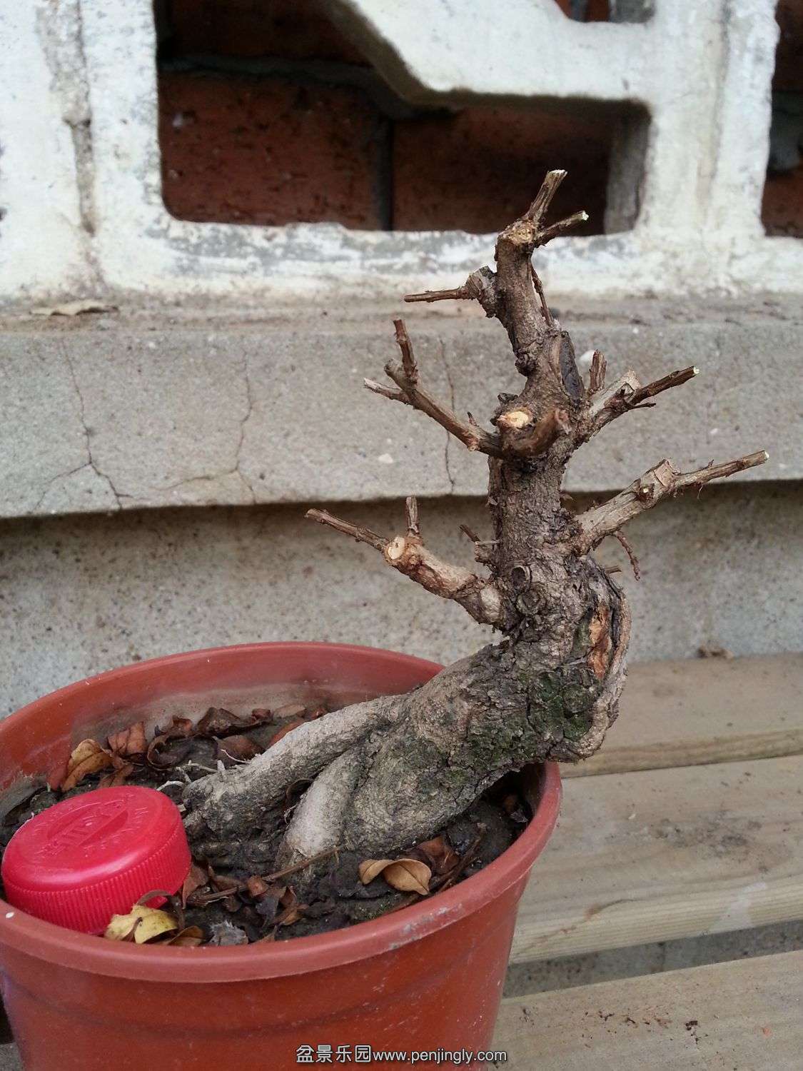 20131118_072945.jpg