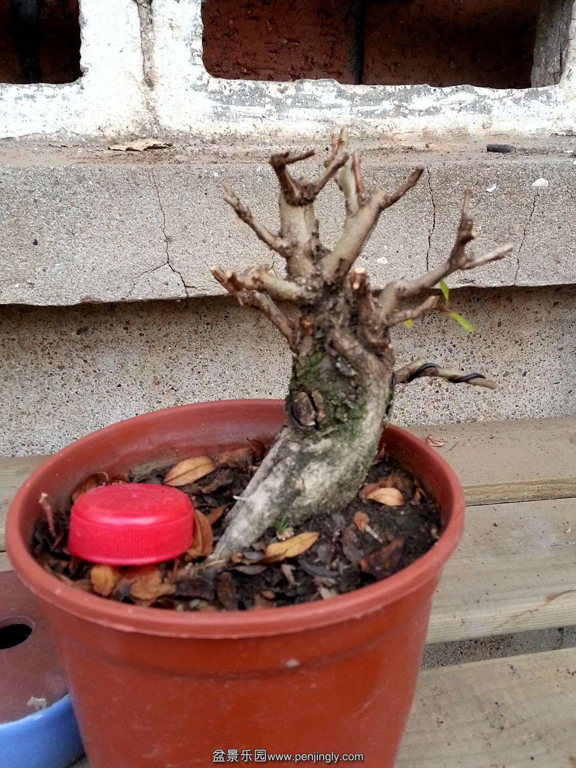20131118_073001.jpg