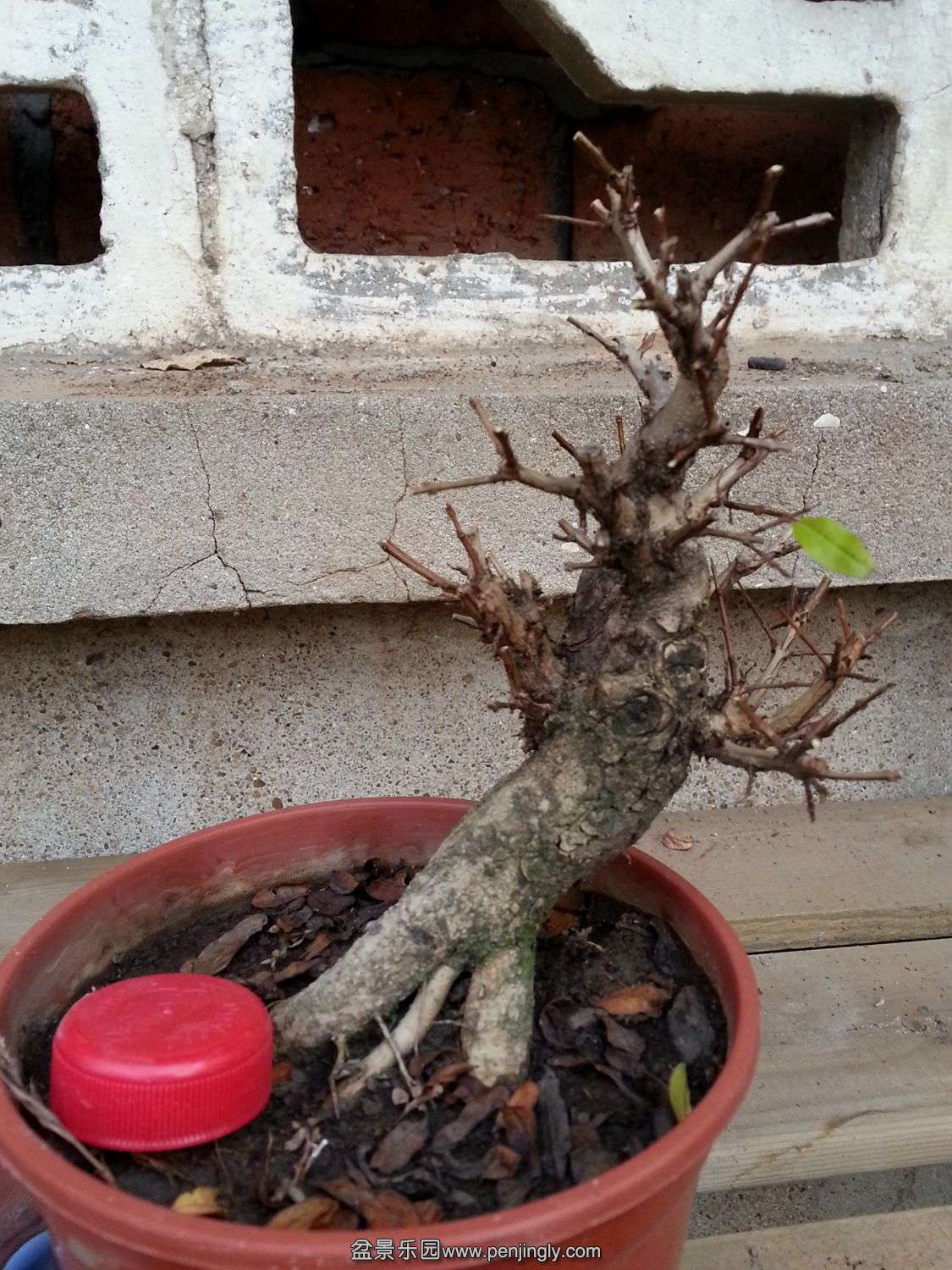 20131118_073017.jpg