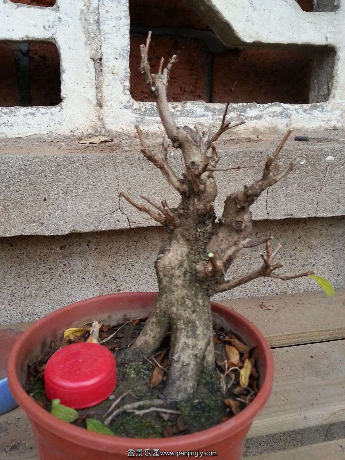 20131118_073031.jpg