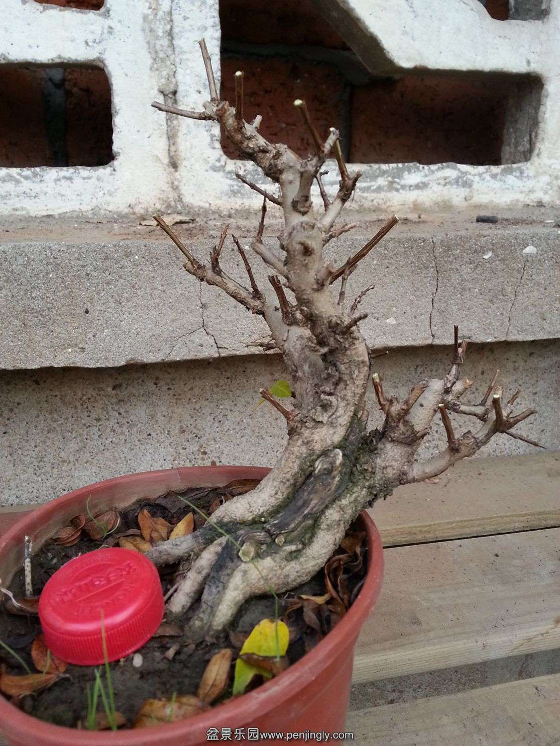 20131118_073046.jpg