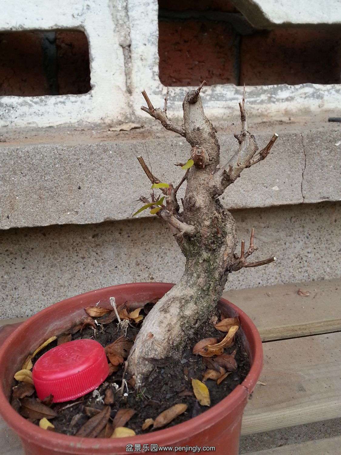 20131118_073113.jpg