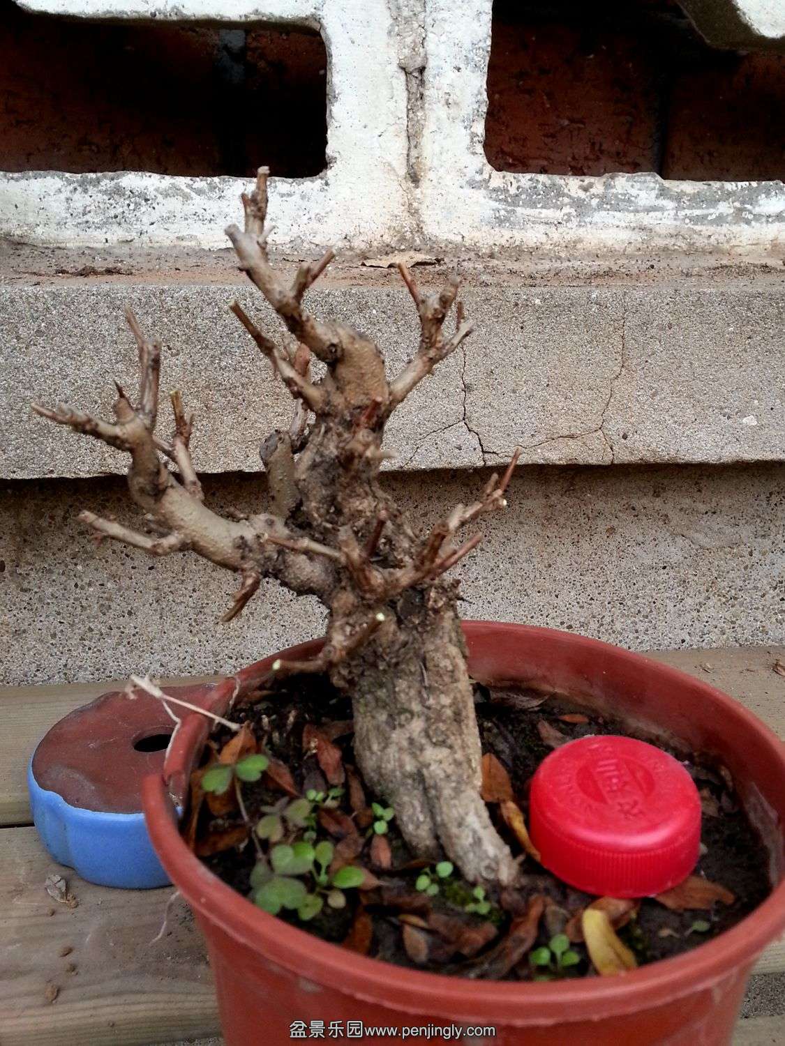 20131118_073129.jpg