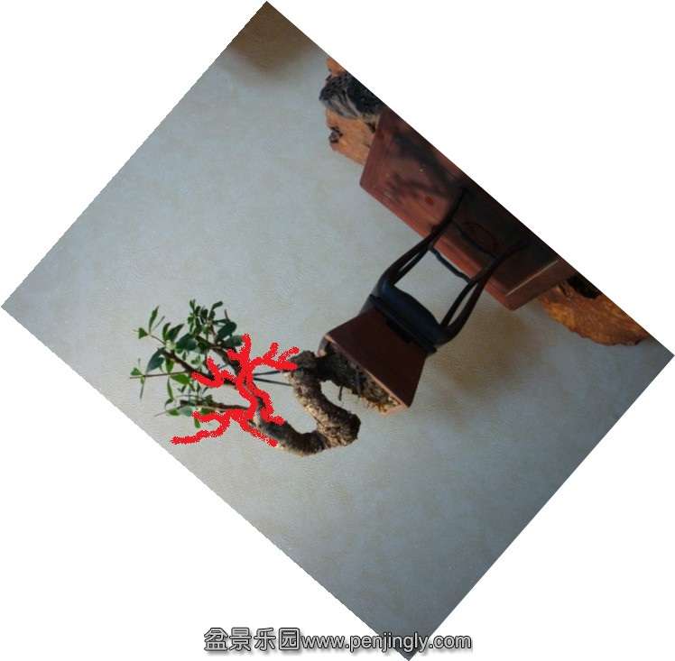 131812jfef0660xype69mf.jpg.thumb.jpg